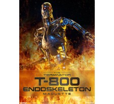 Terminator Maquette T-800 Endoskeleton 52 cm